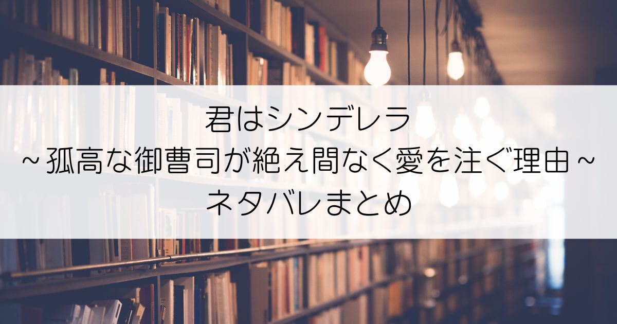 君はシンデレラ～孤高な御曹司が絶え間なく愛を注ぐ理由～ネタバレアイキャッチ