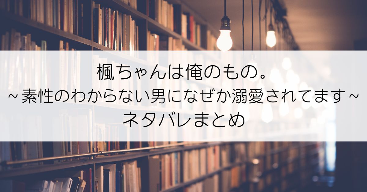 楓ちゃんは俺のもの。～素性のわからない男になぜか溺愛されてます～ネタバレアイキャッチ