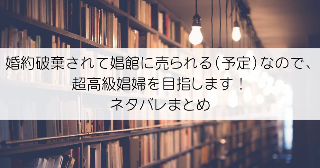 婚約破棄されて娼館に売られる（予定）なので、超高級娼婦を目指します！ネタバレアイキャッチ