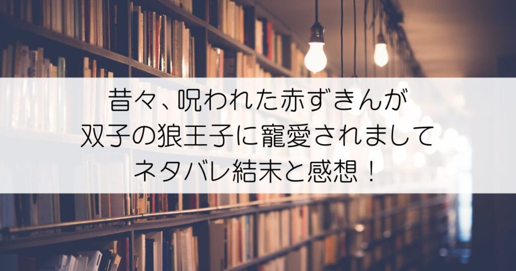 昔々、呪われた赤ずきんが双子の狼王子に寵愛されましてネタバレアイキャッチ